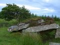 ireland_214_bg_061902.jpg