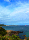 em-FalBay020907.gif