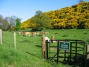 chesters hill fort.jpg